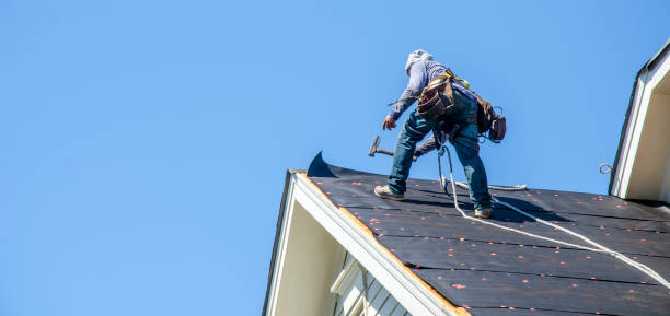 Roof Gutter Cleaning in Creston, IA
